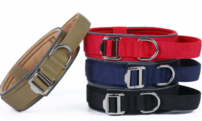Multi-Function Control Collar