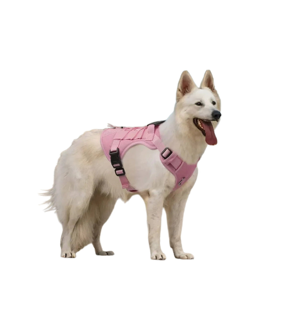 Multi-Function Tactical Harness