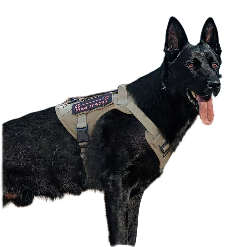 Multi-Function Tactical Harness