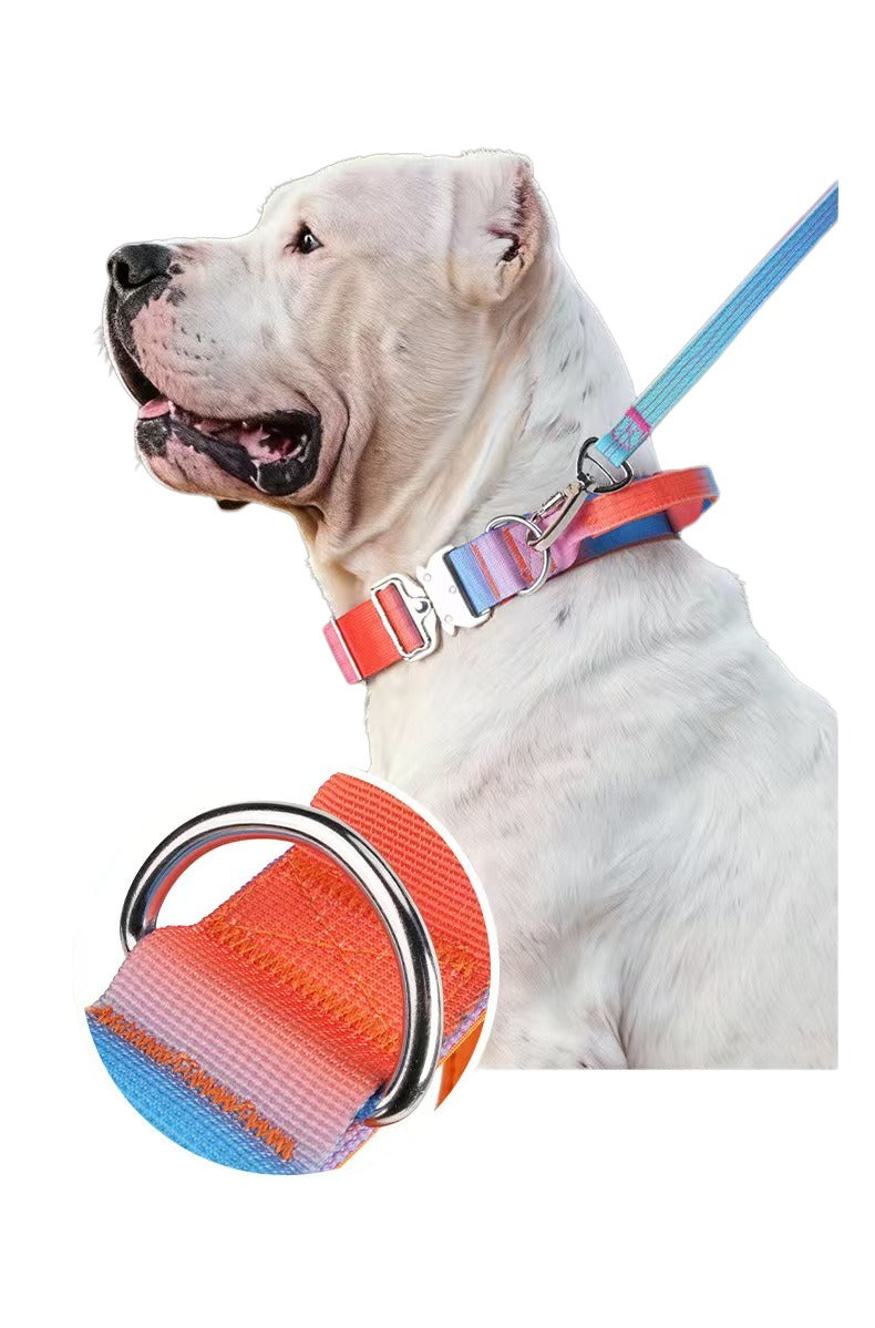 Tactical Dog Collar (Gradient Color)