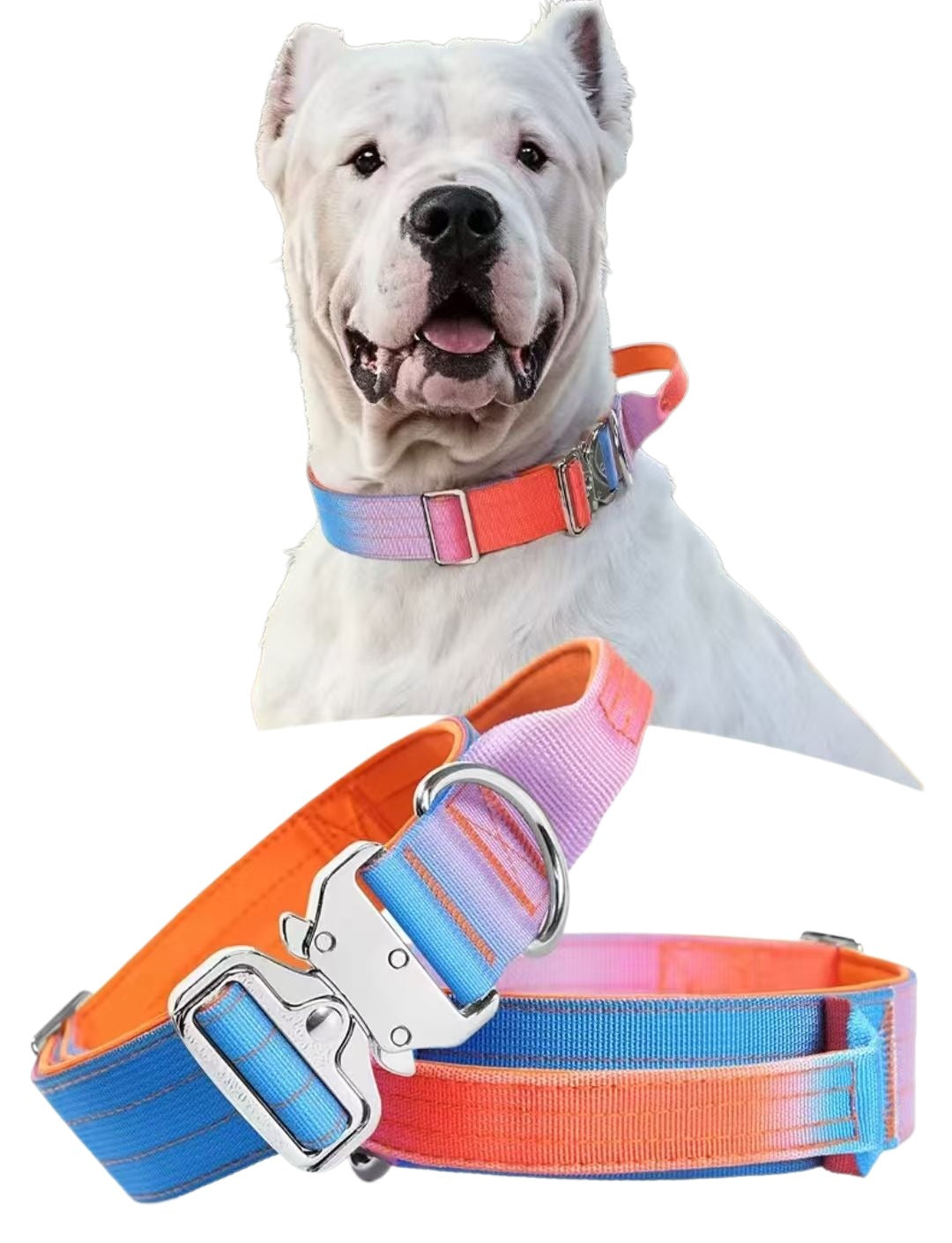 Gradient Cobra Collar